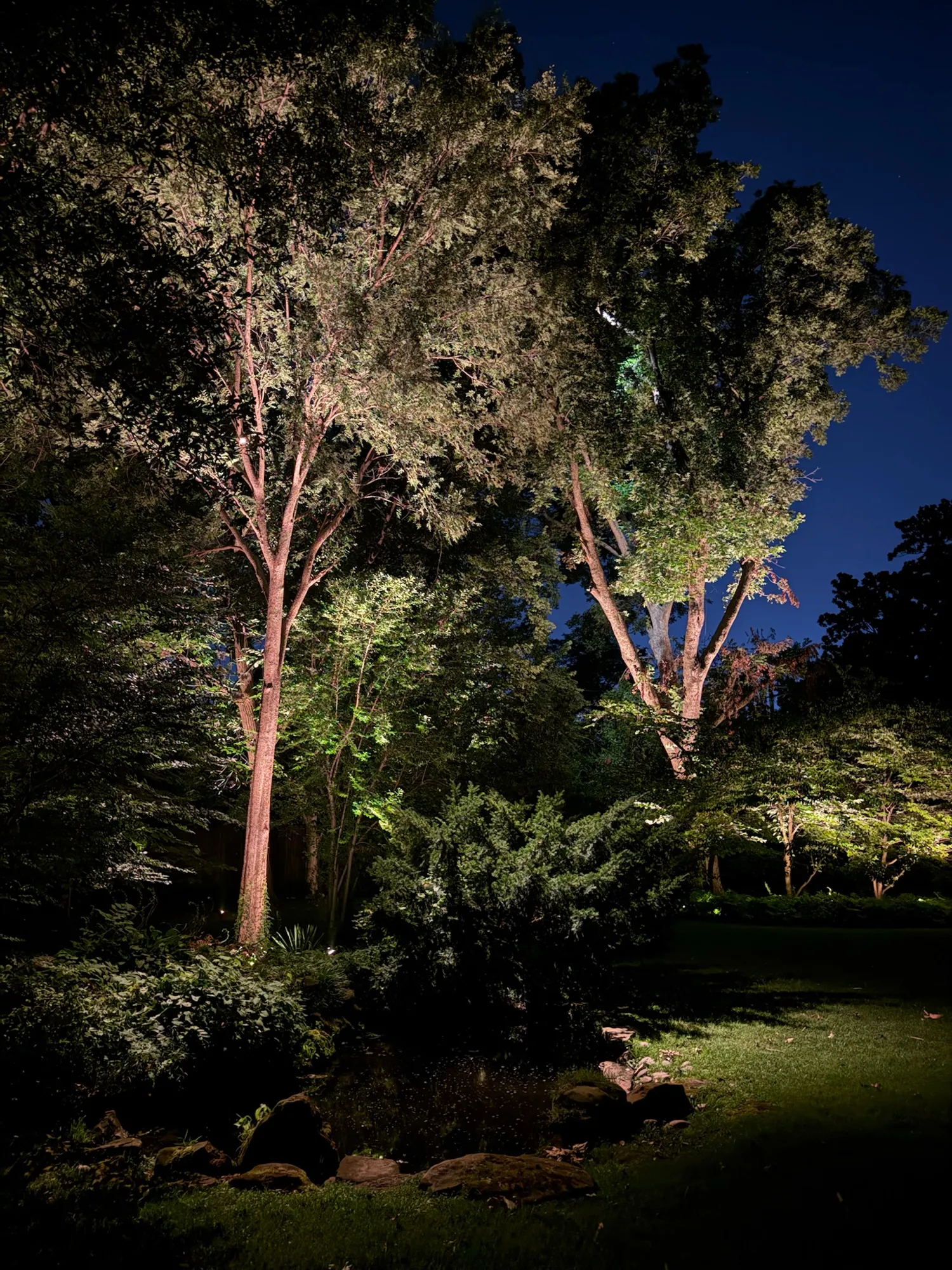 Layered trees uplit in a garden. Landscape Lighting by LIT Outdoor Lighting in Tulsa.