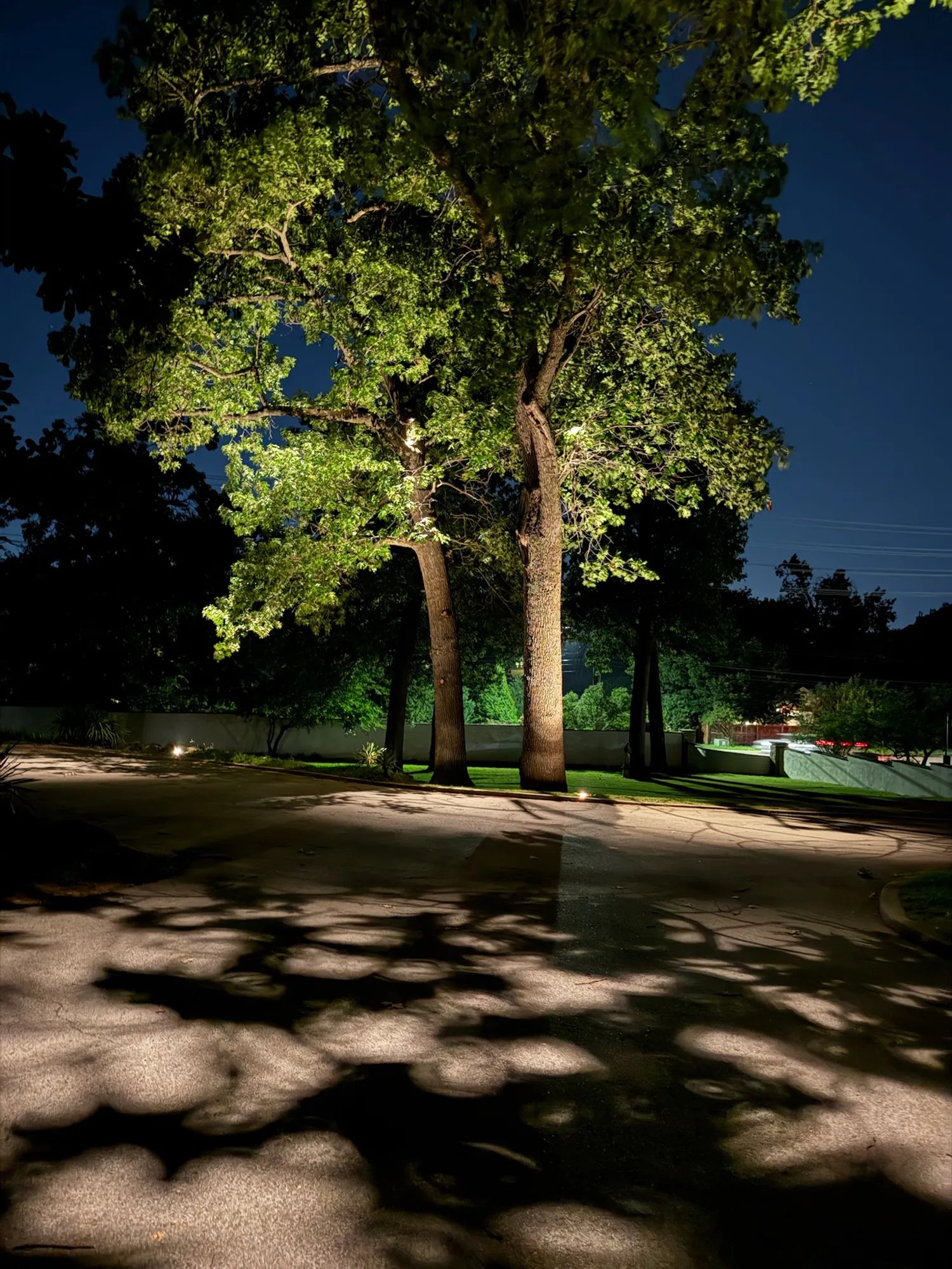 Trees lit over the drive. Landscape Lighting by LIT Outdoor Lighting in Tulsa.