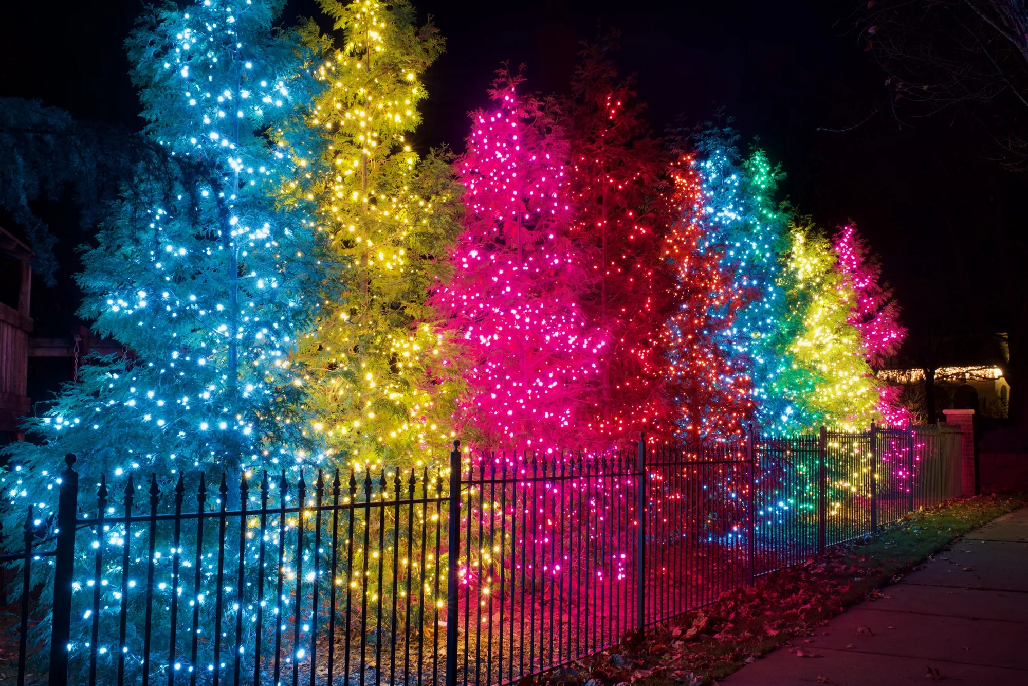A row of trees each lit a different colour. Christmas Lighting by LIT Outdoor Lighting in Tulsa.