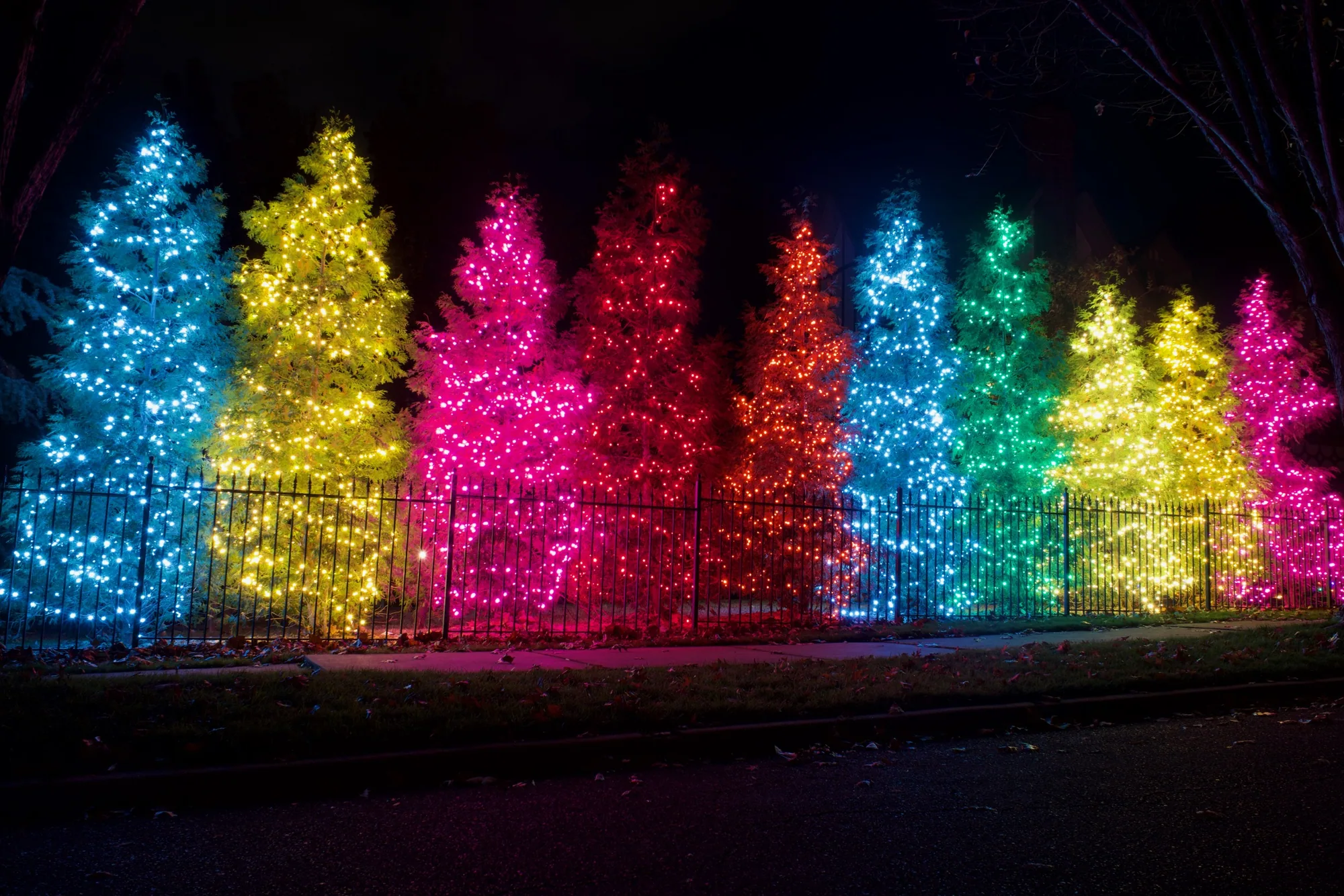 The whole row behind the iron fence, colour by colour. Christmas Lighting by LIT Outdoor Lighting in Tulsa.