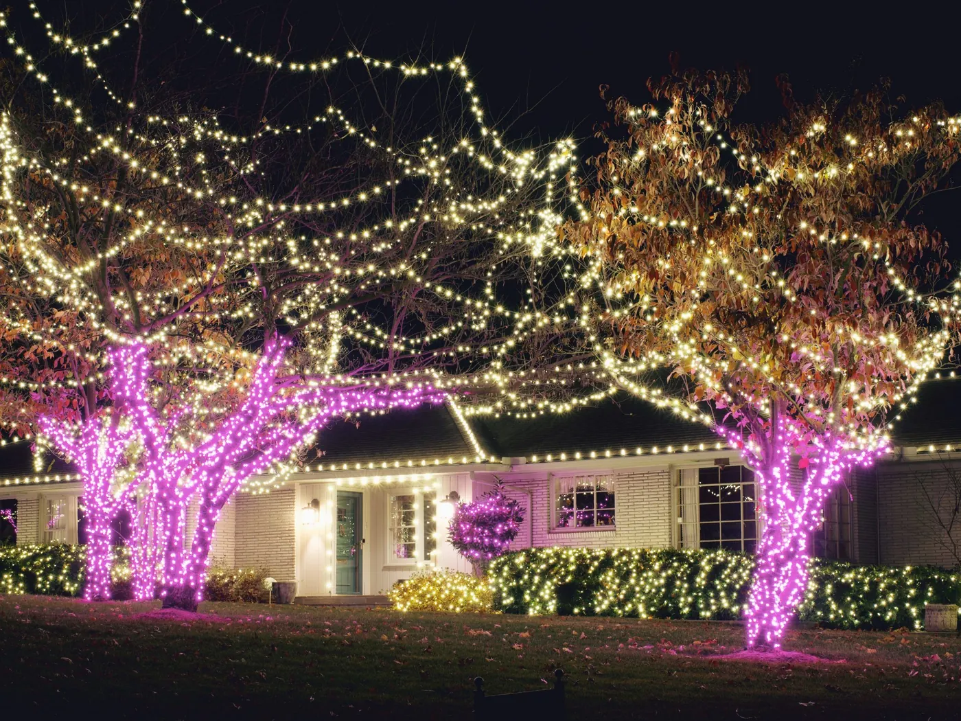 Canopy wrapped over a front lawn. Christmas Lighting by LIT Outdoor Lighting in Tulsa.