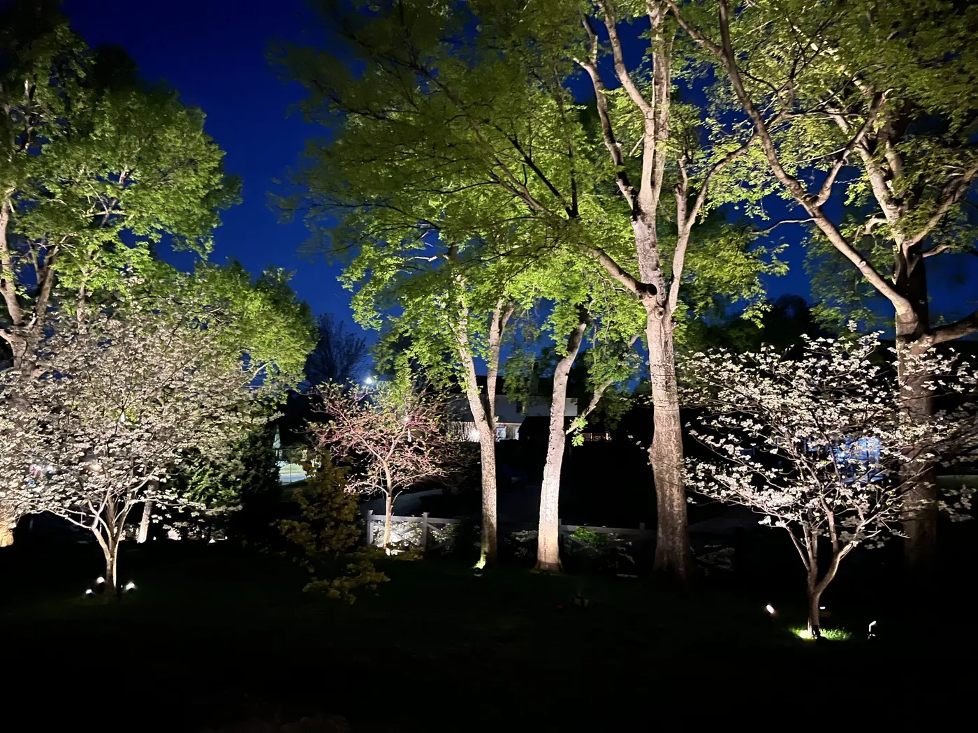 Spring canopy over a lawn. Landscape Lighting by LIT Outdoor Lighting in Tulsa.